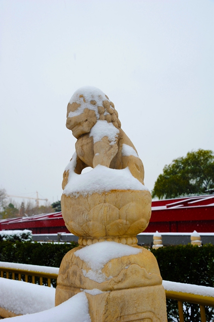 Snow scenery in the Forbidden City: a travel through thousand years