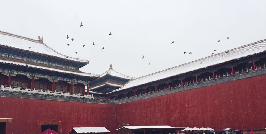 Snow scenery in the Forbidden City: a travel through thousand years