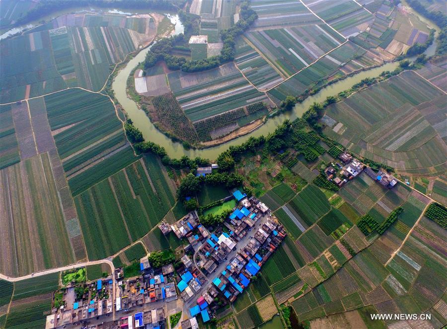 In pics: farmland scenery of Tianzhou Township, S China's Guangxi