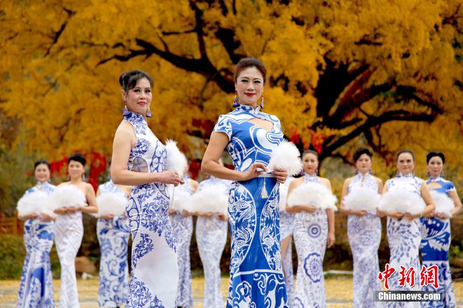 Senior models give cheongsam show under thousand-year-old gingko tree