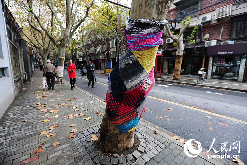 Trees in Shanghai 'wear' sweaters for the winter