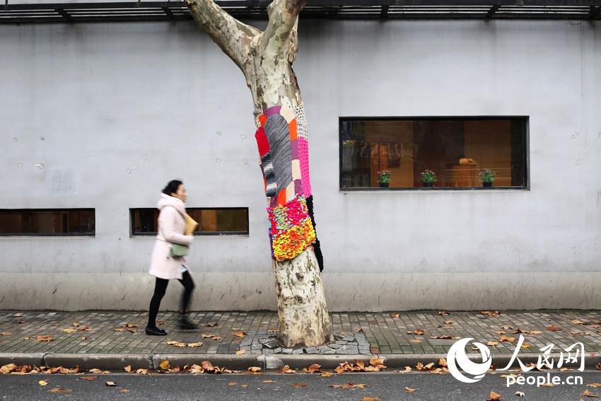 Trees in Shanghai 'wear' sweaters for the winter