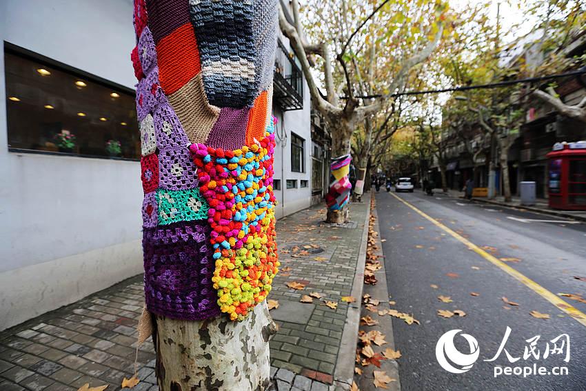 Trees in Shanghai 'wear' sweaters for the winter