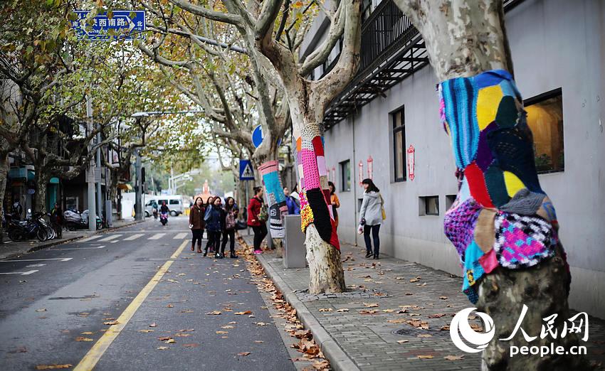 Trees in Shanghai 'wear' sweaters for the winter