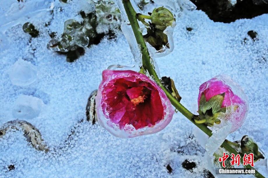 Beautiful icicles in Hubei