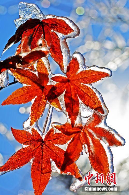 Beautiful icicles in Hubei