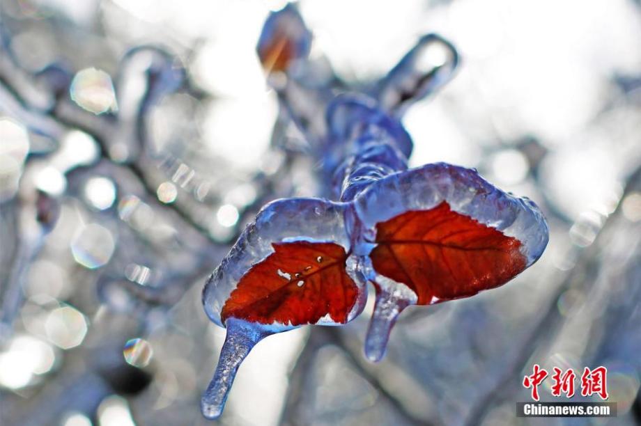 Beautiful icicles in Hubei