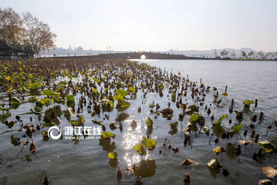 Intoxicating aerial photos of the West Lake 
