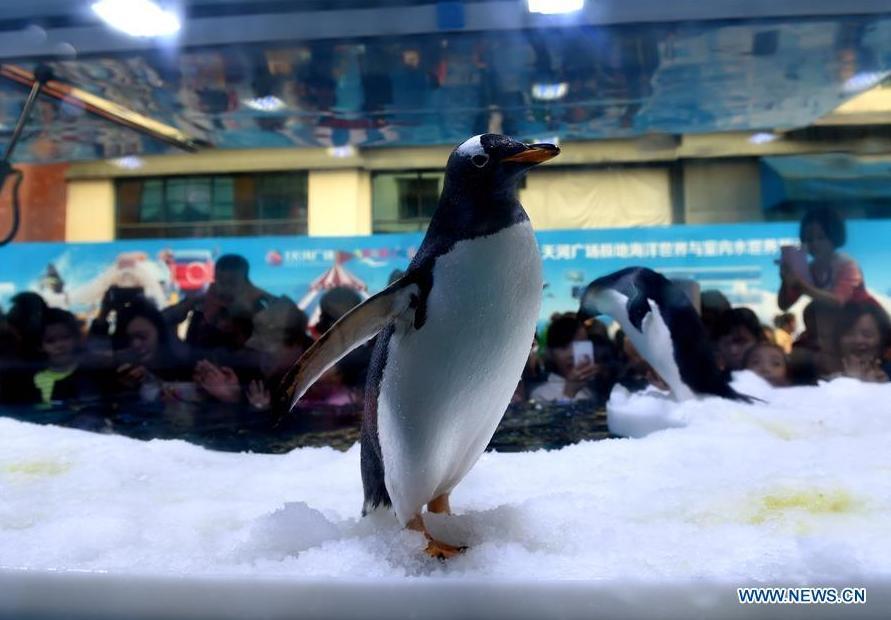 Penguin science exhibition held in S China