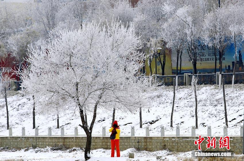 Beautiful rime view appears in downtown Jilin