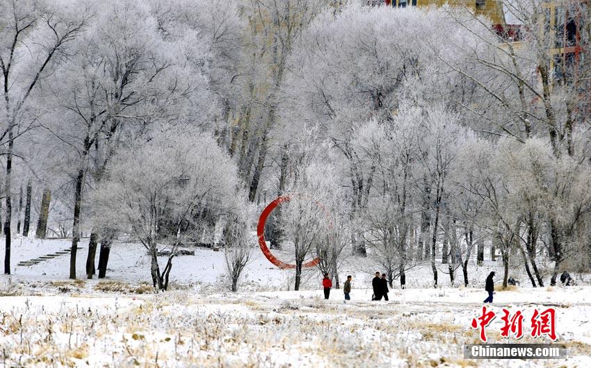 Beautiful rime view appears in downtown Jilin