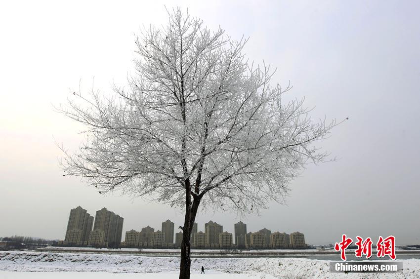 Beautiful rime view appears in downtown Jilin