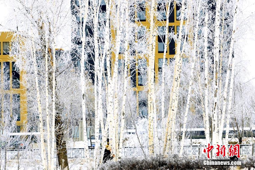 Beautiful rime view appears in downtown Jilin