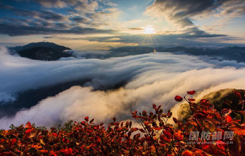 Spectacular aerial photos of the Three Gorges