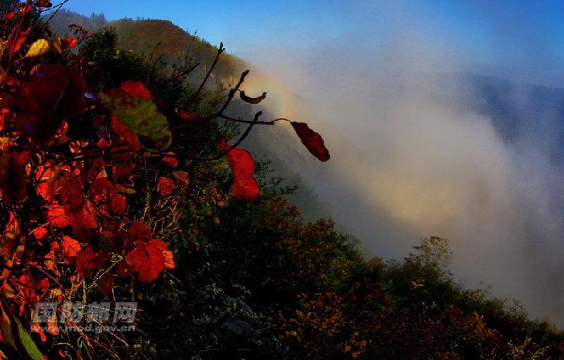 Spectacular aerial photos of the Three Gorges