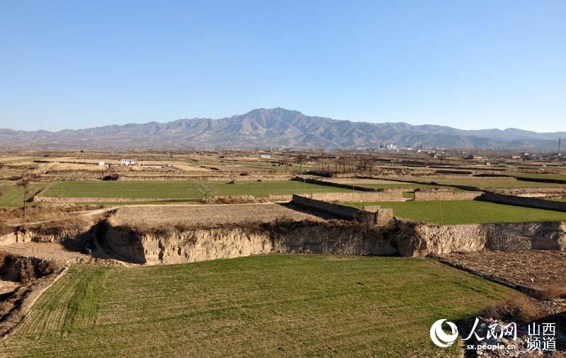 1,283 Zhou Dynasty tombs found in Shanxi