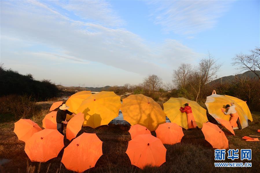 Oil paper umbrella – an intangible cultural heritage of Anhui