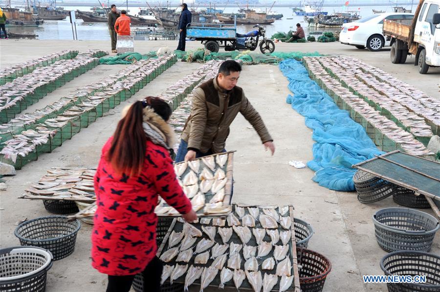 Sunny days bring dried fish for fishing villagers in Jiangsu