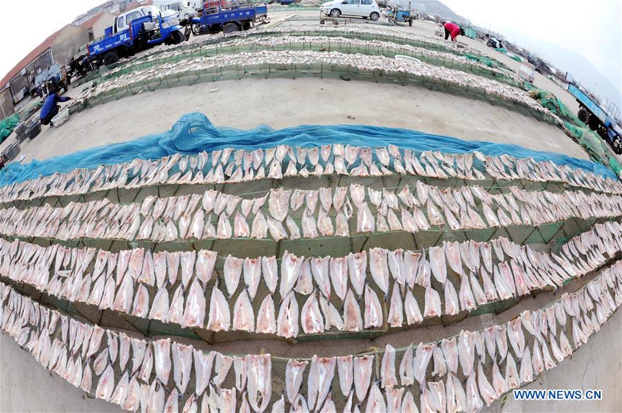 Sunny days bring dried fish for fishing villagers in Jiangsu