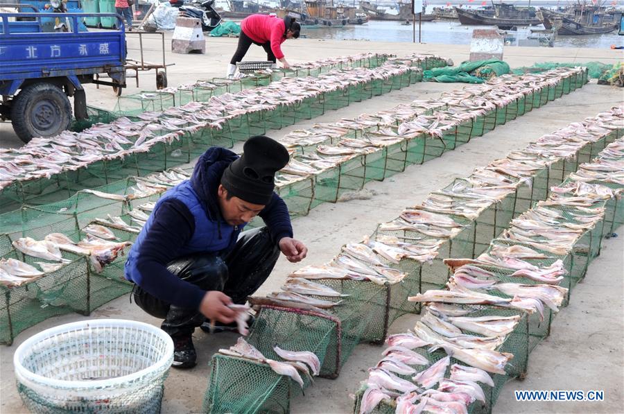 Sunny days bring dried fish for fishing villagers in Jiangsu