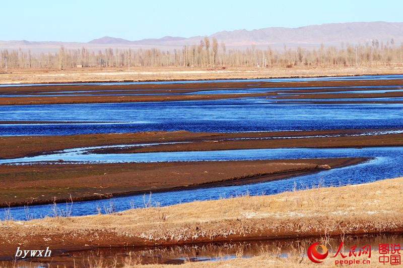 Splendid scenery of Heihe Wetland