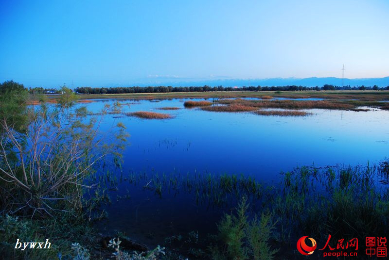 Splendid scenery of Heihe Wetland