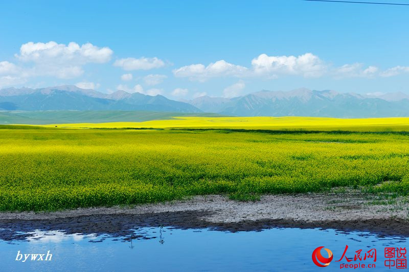 Splendid scenery of Heihe Wetland