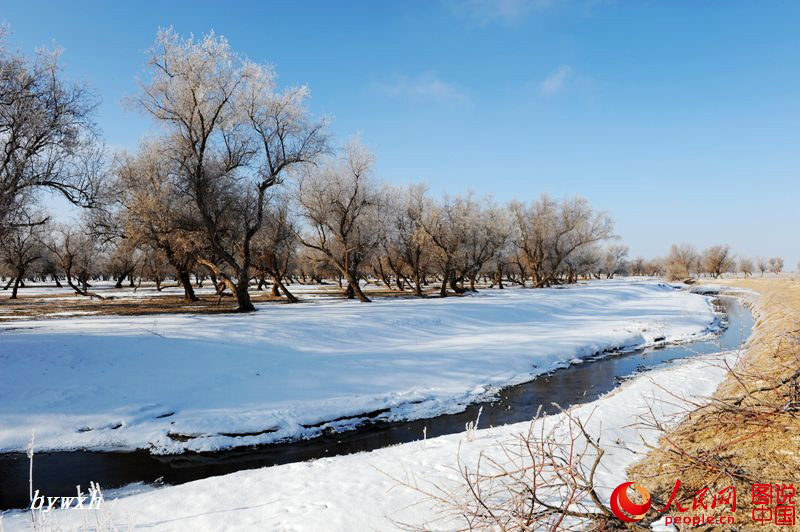 Splendid scenery of Heihe Wetland