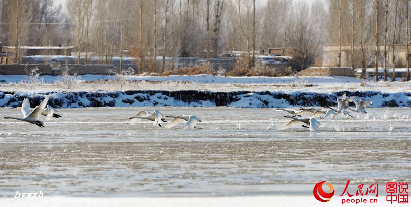 Splendid scenery of Heihe Wetland