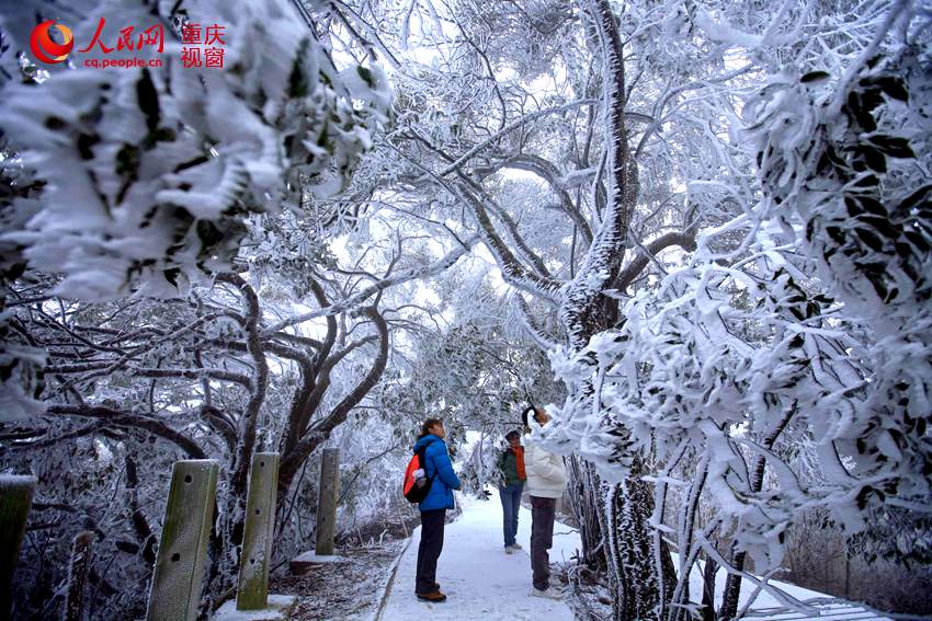 Splendid snow scenery of Chongqing