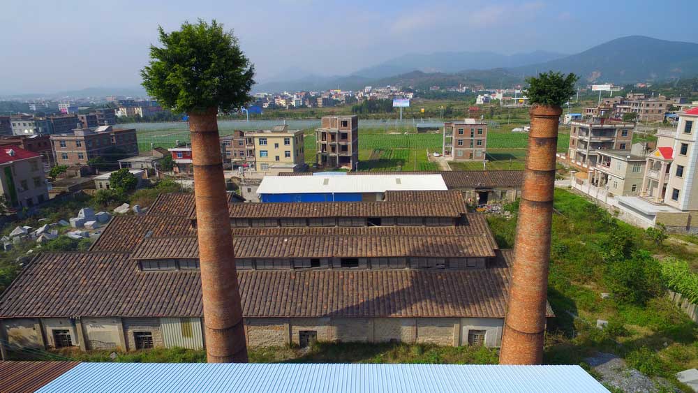 Hat-shaped banyan trees on top of chimneys in Fujian