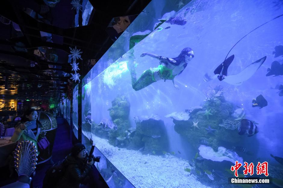 Customers dine with 'mermaids' in ocean-themed restaurant