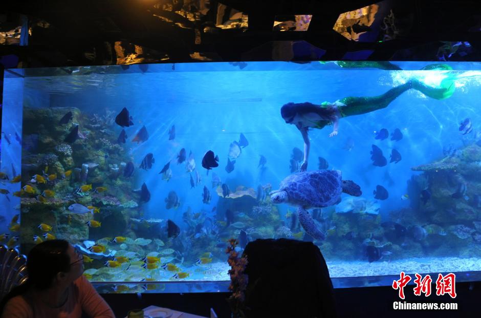 Customers dine with 'mermaids' in ocean-themed restaurant