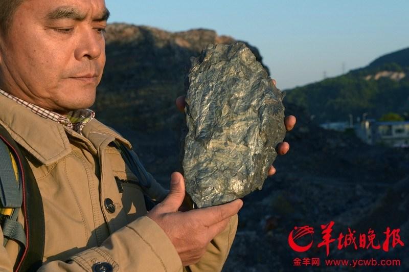 Fossils from 210 million years ago found in Guangzhou