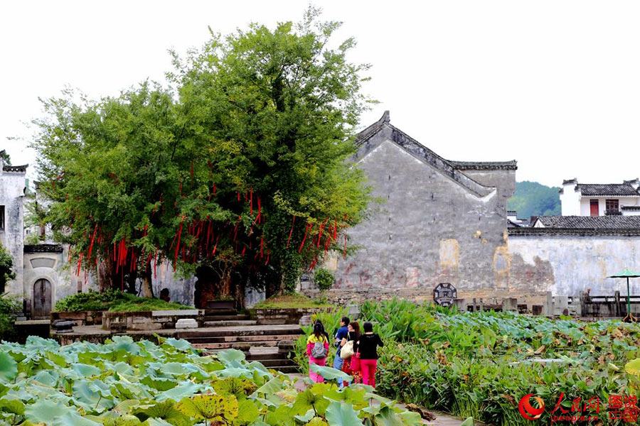 'Bagua' Village in Anhui