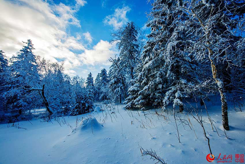 Beautiful rime sceneries across China