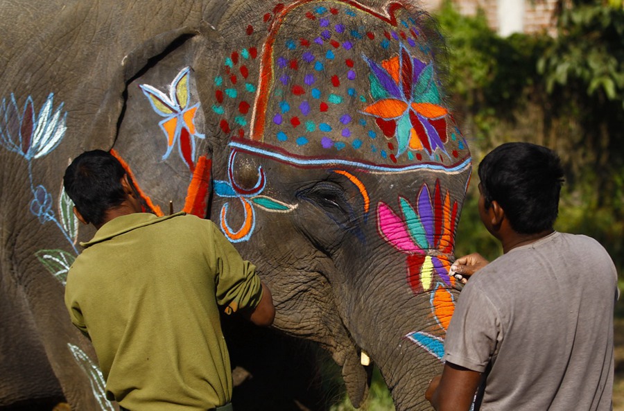 Elephant beauty contest held in Nepal