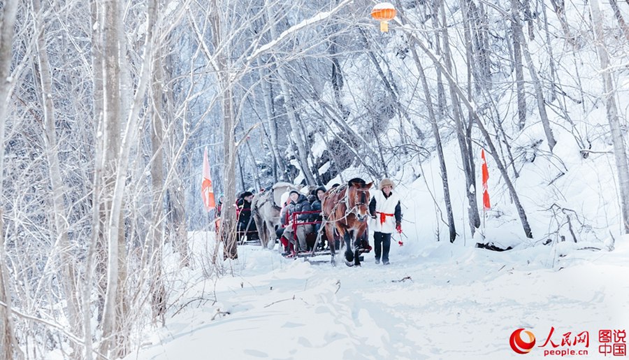 China's first alpine snow entertainment park opens 