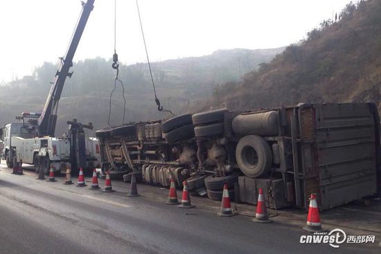 Truck loaded with pigs overturns on road 