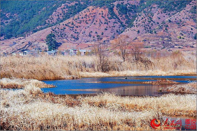 Lugu Lake -- a pearl on plateau