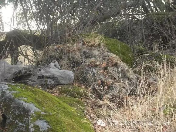 Can you find out the sniper hiding in camouflage?