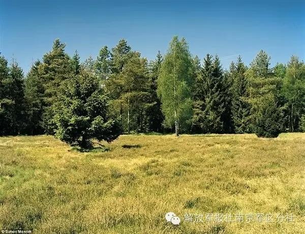 Can you find out the sniper hiding in camouflage?