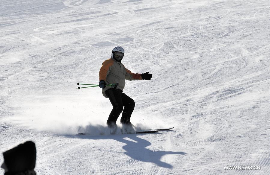 Enjoy world snow day in Inner Mongolia 