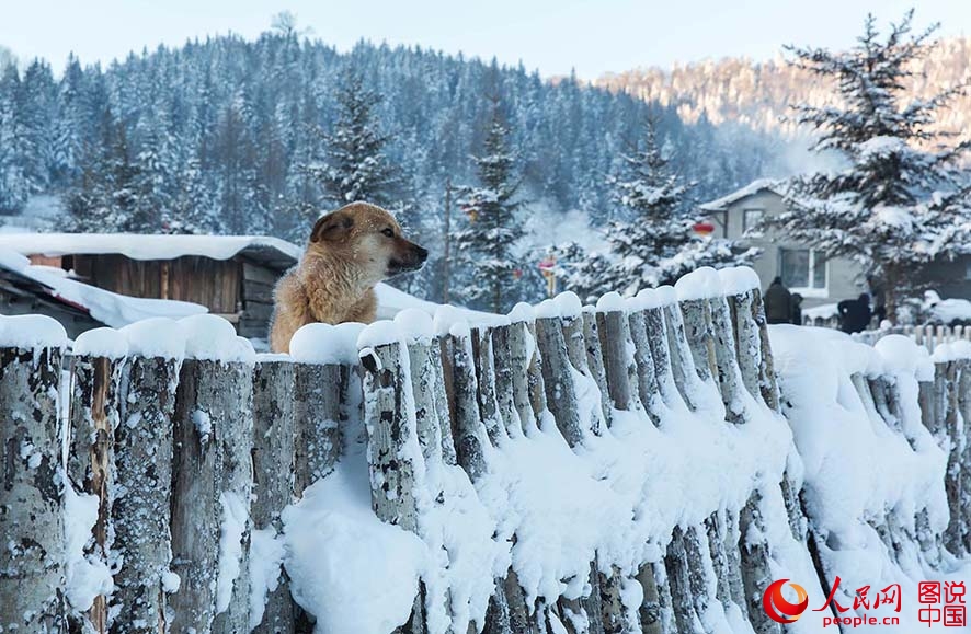 The most beautiful town of snow in China