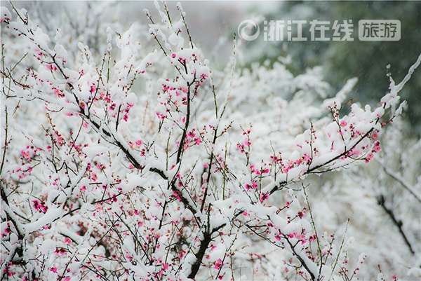 A beautiful Zhejiang in snow