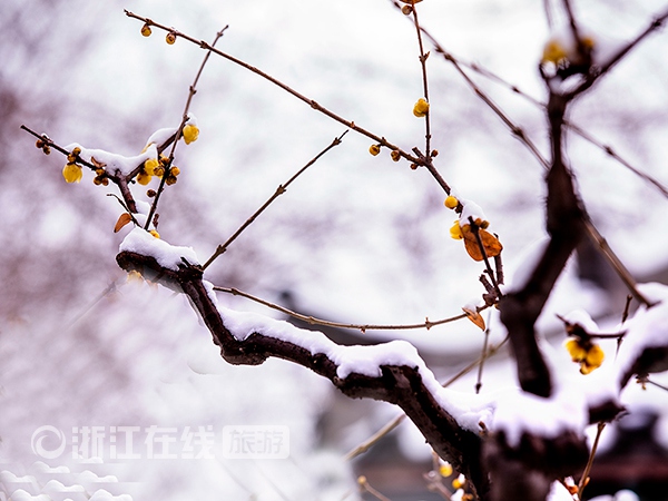 A beautiful Zhejiang in snow