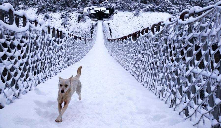 Amazing snow scenery of Shenxianju Mountain in E China