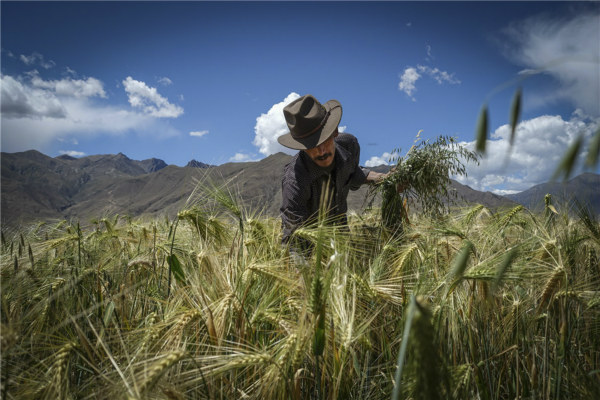 China to push integrated development in rural areas