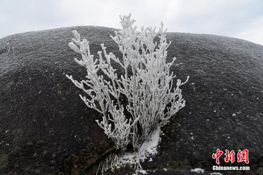 Picturesque scenery of Liangyeshan Mountain in snow