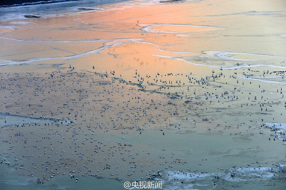 Fascinating scenery of frozen Yellow River